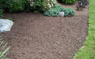 How to Apply Mulch