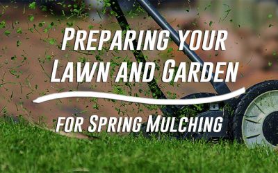 Preparing your Lawn and Garden for Spring Mulching