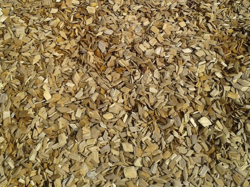 Regular Wood Chips