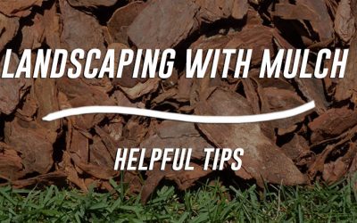 Landscaping with Mulch